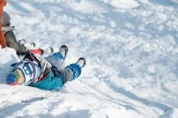 「【北海道】2026年1月1日・2日・3日・4日のお正月開催イベント7選　無料イベントも」の写真