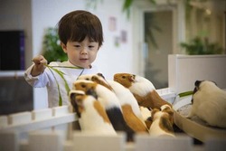「【2025-26】横浜市の年末年始・正月三が日も営業！子連れおでかけスポット7選」の写真