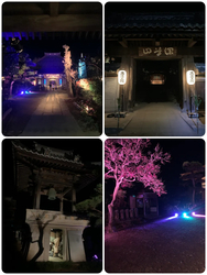 令和7年 除夜の鐘