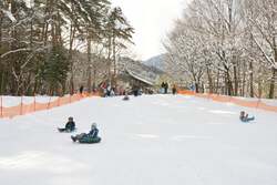 「アルプス広場」のそりゲレンデ（2025年2月9日撮影）