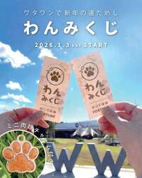 「岸和田市のワタワンで親子参加型の新春イベント　もちつき・福まき・巨大かるた大会も」の写真
