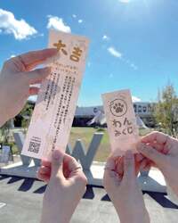 「岸和田市のワタワンで親子参加型の新春イベント　もちつき・福まき・巨大かるた大会も」の写真