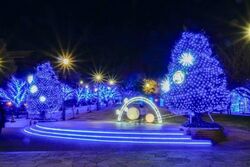 「【横浜市】2025年12月27日～31日の年末に楽しめるイベント13選　無料＆イルミも多数」の写真