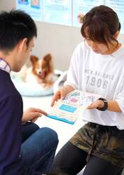 「静岡県浜松市に「保護犬猫カフェ」誕生！　オープンキャンペーンで入場料30分無料」の写真