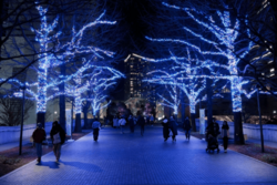 「【横浜市】2025年12月27日～31日の年末に楽しめるイベント13選　無料＆イルミも多数」の写真