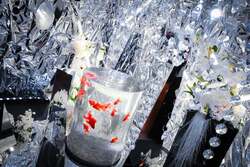 「奈良金魚ミュージアムに銀世界が出現！冬季企画展「銀魚展」開催　新春の没入体験！」の写真