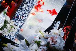 「奈良金魚ミュージアムに銀世界が出現！冬季企画展「銀魚展」開催　新春の没入体験！」の写真