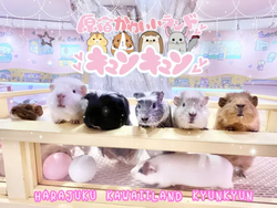 「【東京】年末年始のおでかけ計画に！人気スポット営業時間＆イベント情報まとめ」の写真