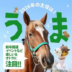 「【千葉】年末年始のおでかけ計画に！人気スポット営業時間＆イベント情報まとめ」の写真