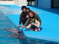 「参加無料！大晦日だけショーで活躍中のイルカと握手、南知多ビーチランドで限定開催！」の写真