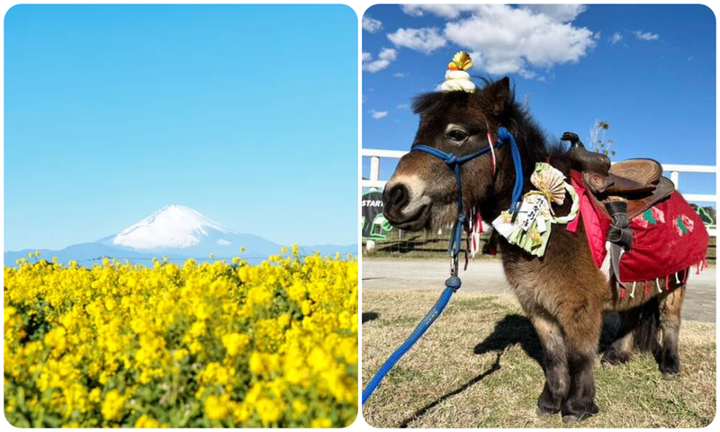 開運爆上がりイベント