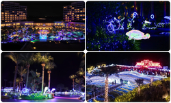 月夜のワンダーイルミネーション