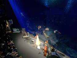 「夜の水族館で生演奏！大洗で4夜限定の「ミュージックナイト」開催、サメと音楽が共演」の写真
