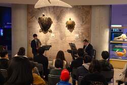 「夜の水族館で生演奏！大洗で4夜限定の「ミュージックナイト」開催、サメと音楽が共演」の写真