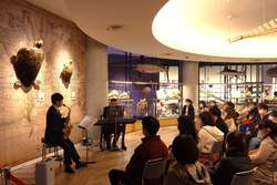 「夜の水族館で生演奏！大洗で4夜限定の「ミュージックナイト」開催、サメと音楽が共演」の写真