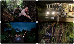 ウワーガージャングル