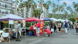 「家族で餅つき＆凧作り！リビエラ逗子マリーナで新春イベント　蚤の市や絶品グルメも！」の写真