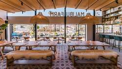 「家族で餅つき＆凧作り！リビエラ逗子マリーナで新春イベント　蚤の市や絶品グルメも！」の写真