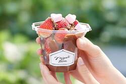 「食べる宝石「ミガキいちご」が食べ放題！山元町でいちご狩りスタート　巨大パフェも！」の写真