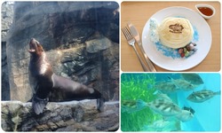 トドまらない2026お正月／「ウマ年」にちなみトド（海馬）をテーマに「トドまらない2026お正月」開催