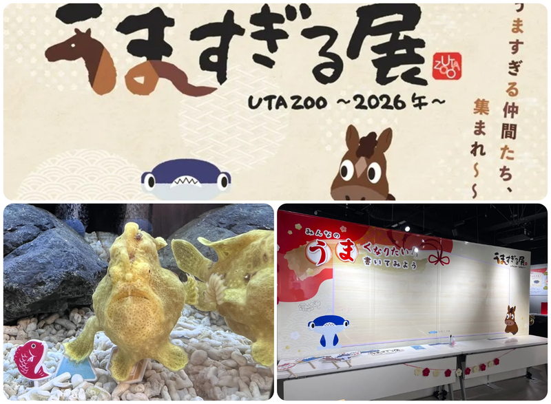 UTA ZOO（うたずー） 〜2026午〜うますぎる展