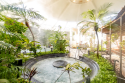 ジャングル温泉は10時から22時まで営業（最終受付21時）