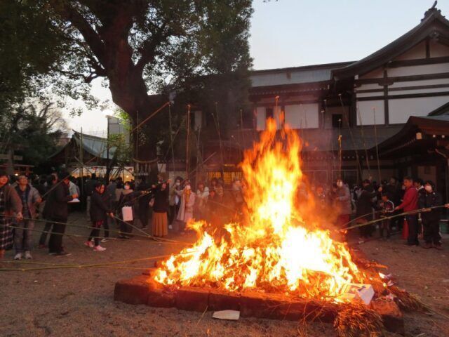 宮崎八幡宮 どんど焼き祭