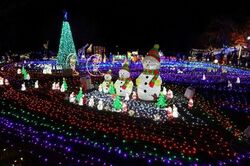 第4回 イルミネーション in 曽木の滝