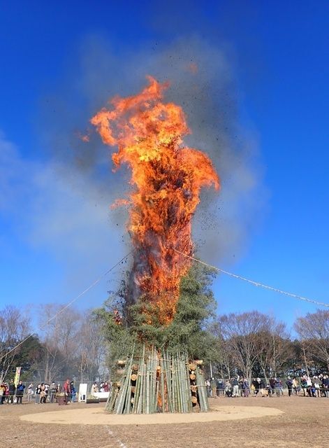 神戸市立森林植物園 第22回 とんどやき