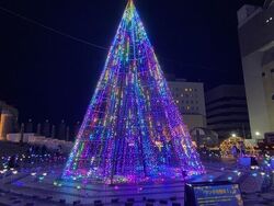 Hitachi Starlight Illumination 2025