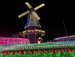 第14回 光がつくる“Art”水郷桜イルミネーション（過去実施時の様子）