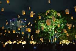 「【入場無料】ランタン打ち上げ＆餅つきも！　静岡市・駿府城公園で新春の夜市を満喫」の写真