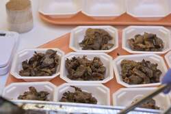 「ブランド牛が当たる抽選会や無料試食も！福岡市役所横で入場無料の「お肉まつり」開催」の写真