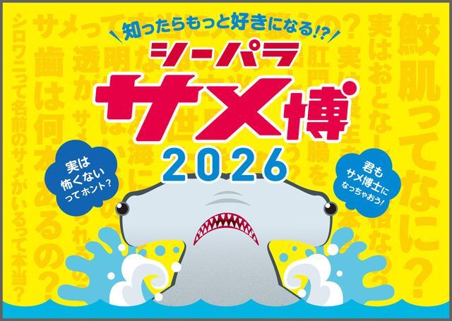 シーパラ サメ博2026