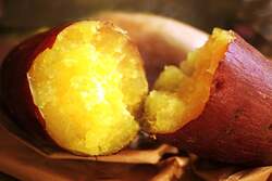 「参加無料！千葉県佐倉市で「焚き火」イベント開催　絶品焼き芋作りやワークショップも」の写真