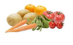 九州の旬を集めた“詰め放題”企画