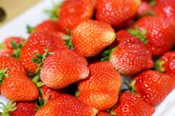 「みかん＆卵の詰め放題も！大丸福岡で「全九州グルメ博」　絶品グルメ大集結の13日間」の写真