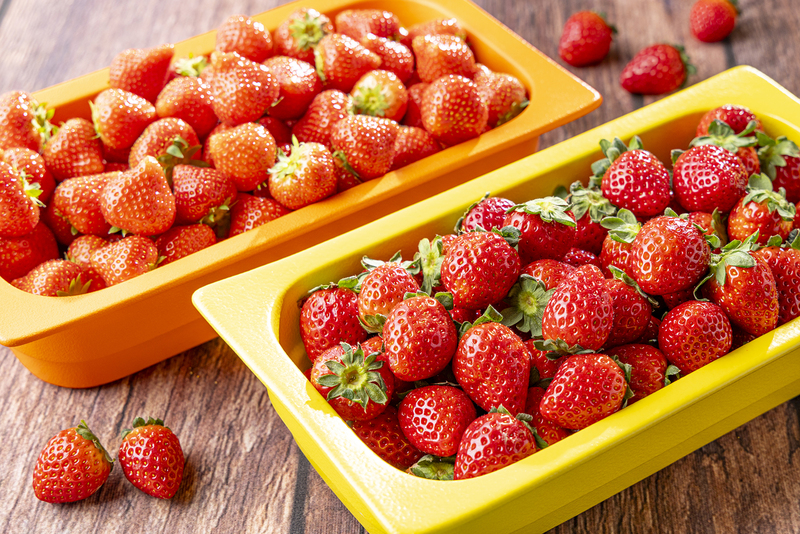 その日、もっとも状態の良い2種を提供します