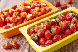 その日、もっとも状態の良い2種を提供します