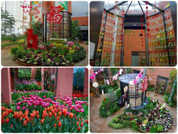 季節展示「新春の庭」