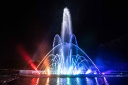 今しか見られない限定ショーです