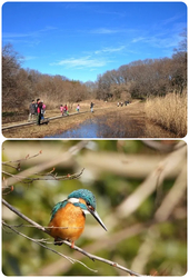 冬の自然観察オリエンテーリング