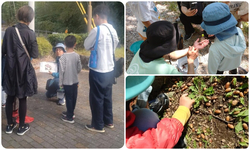 はじめてのゆるふわ森さんぽ／小さなお子さんでも気軽に楽しめます。