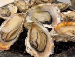 「天王寺・阿倍野に牡蠣小屋オープン！　手ぶらBBQ＆子連れOKの食べ放題で旬の味を堪能」の写真