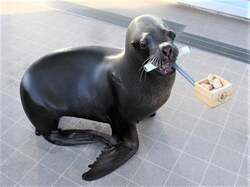 「アナゴが恵方巻に大変身！　仙台うみの杜水族館で「コイに豆まき」体験や限定グッズも」の写真