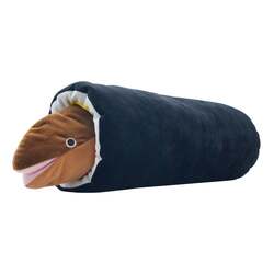 「アナゴが恵方巻に大変身！　仙台うみの杜水族館で「コイに豆まき」体験や限定グッズも」の写真