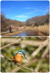 冬の自然観察オリエンテーリング