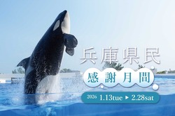 「親子でお得におでかけ！　神戸須磨シーワールドで兵庫県民限定の感謝月間が開催！」の写真