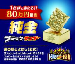 「【豊橋】80万円の「純金ブラックサンダー」当たる!?　食べ放題の特別列車も運行決定！」の写真