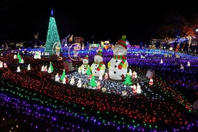 第4回 イルミネーション in 曽木の滝